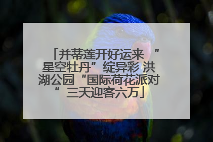 并蒂莲开好运来 “星空牡丹”绽异彩 洪湖公园“国际荷花派对”三天迎客六万